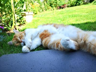 2019-07-21-15-19-56.jpg