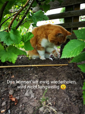 2019-07-17-13-41-45.jpg