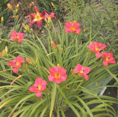GT00-KR-9.21_Ka_X_FlamQu._x_Carrara_M003.jpg
