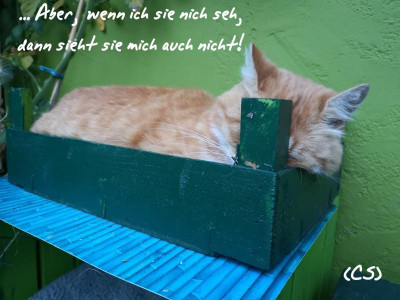 2019-07-23-12-53-59.jpg