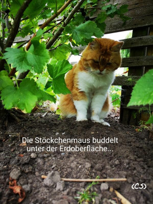 2019-07-23-13-06-17.jpg