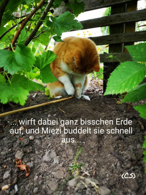 2019-07-23-13-07-00.jpg