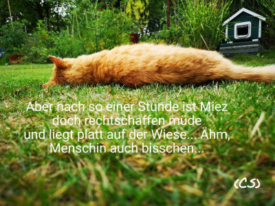 2019-07-23-13-09-06.jpg