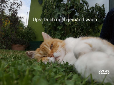 2019-07-23-13-10-41.jpg