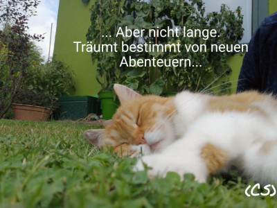 2019-07-23-13-11-26.jpg