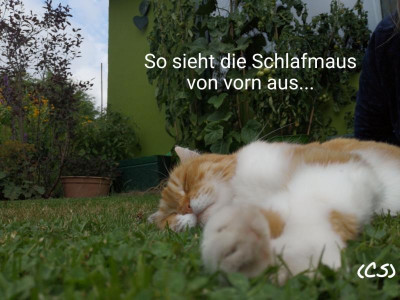 2019-07-23-13-09-52.jpg
