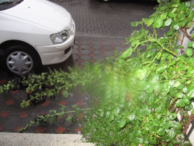 Gewitter3.jpg