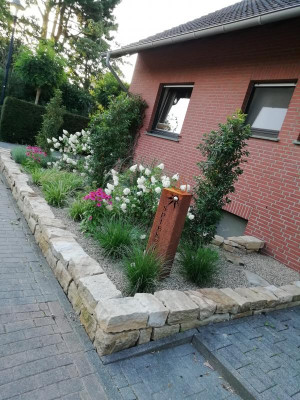 IMG_20190725_071238.jpg