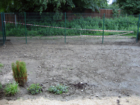 Holgi-2007-06-18.jpg