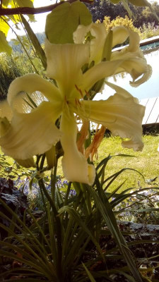 20190725_100855.jpg