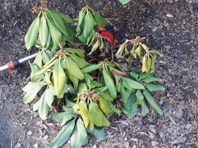 20190724_181041.jpg