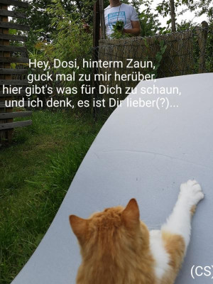 2019-07-26-09-05-55.jpg