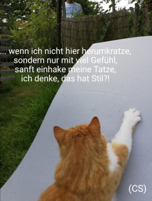 2019-07-26-09-10-04.jpg