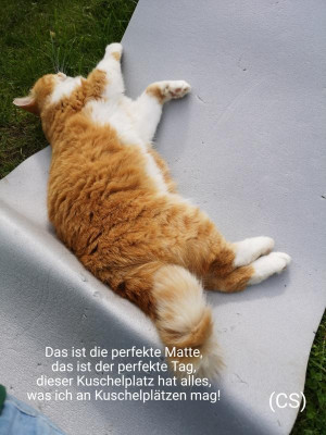 2019-07-26-09-12-34.jpg
