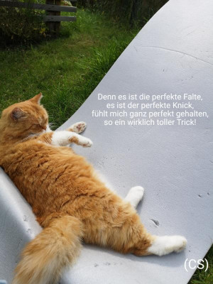 2019-07-26-09-13-21.jpg