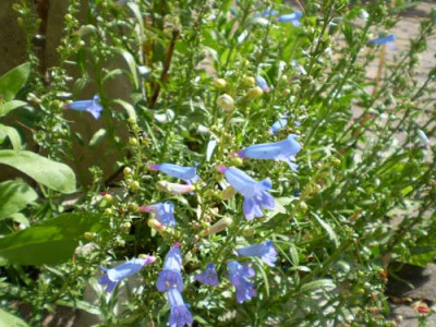 Bild_004.jpg