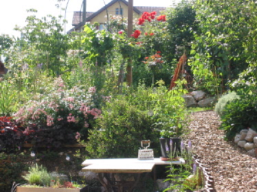 Rosenfuelle__marcir___Juni_07_B.jpg