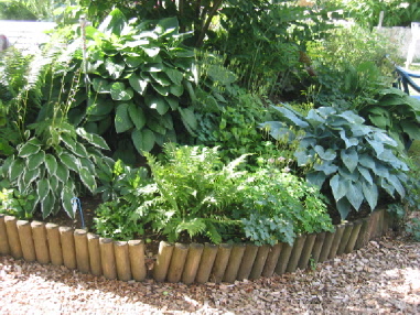 Hostas_und_Farne_marcir_07_2.jpg