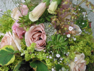 Strauss__nah__Juni_2007.jpg