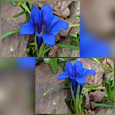 CollageMaker_20190728_082950593.jpg