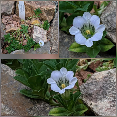 CollageMaker_20190728_131523860.jpg