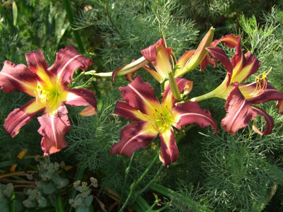 28.07.2019 14-53-09_17214.jpg