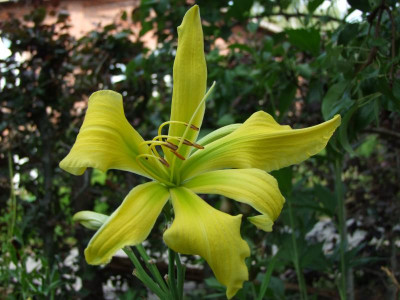 28.07.2019 14-52-25_17202.jpg
