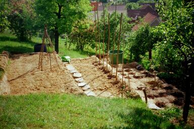 plantage1999.jpg