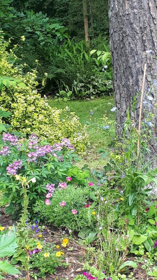 20190721_103249.jpg