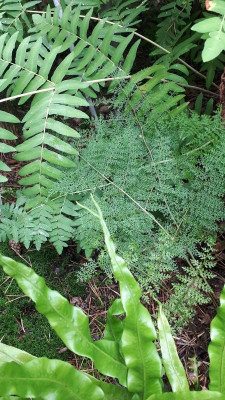 20190721_094858.jpg