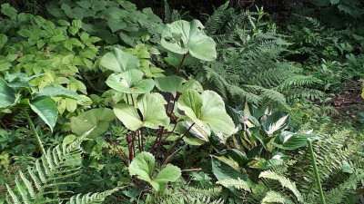 20190721_101355.jpg
