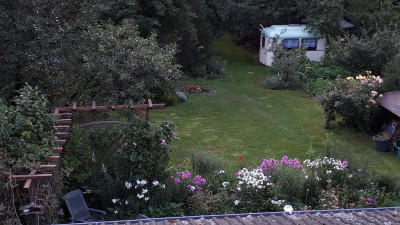 20190728_055538.jpg
