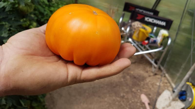 20190727_123605.jpg