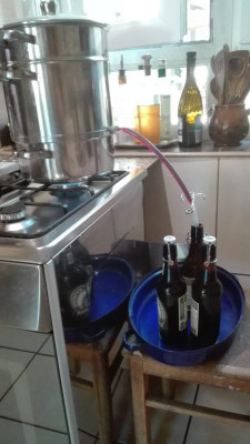 Hollersaft.jpeg