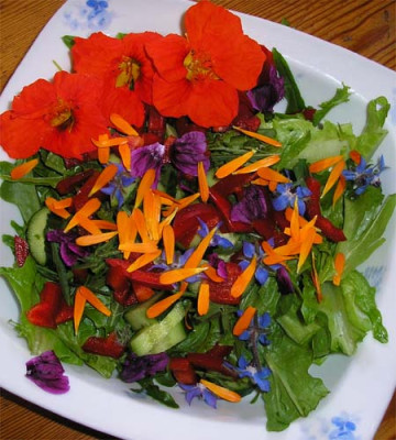 Salat_mit_Bluten.JPG
