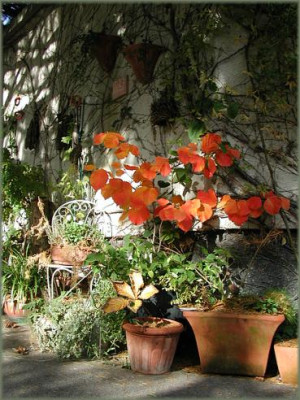 Garage_23.10..JPG