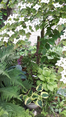 20190608_140919.jpg