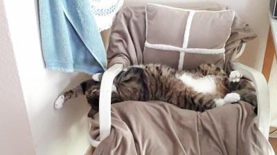 20190614_100942.jpg