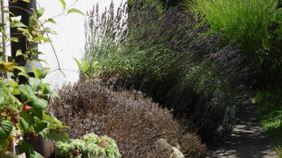 DSCN4590.JPG