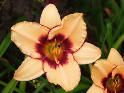 04.08.2019 13-39-44_17893.jpg