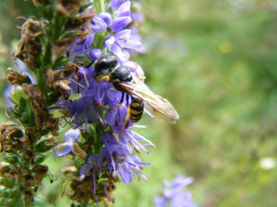 DSCF9100.JPG