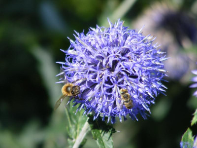 DSCF9032.JPG