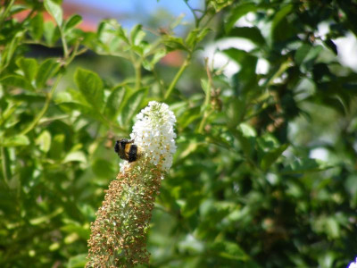 DSCF9034.JPG