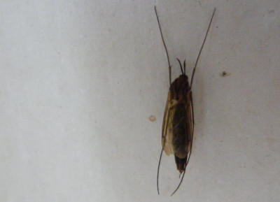 DSCF9003.JPG