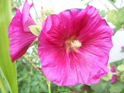 DSCF9122.JPG