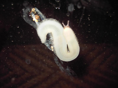 PICT2741.JPG