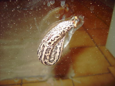 PICT2755.JPG