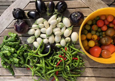 garten.jpg