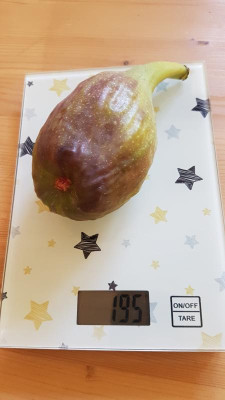 20190803_084053.jpg