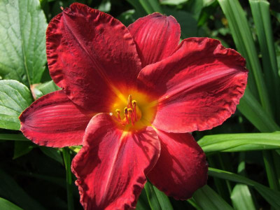 06.08.2019 16-00-19_18013.jpg